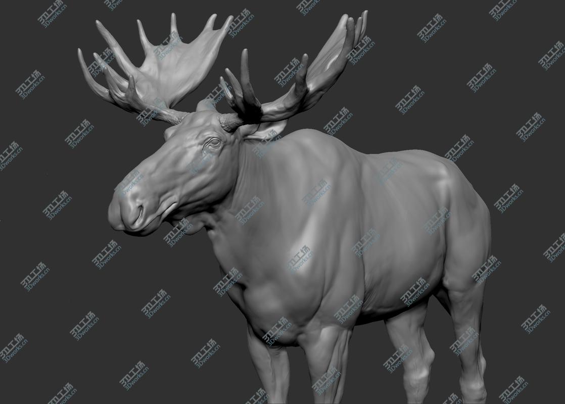 images/goods_img/202104092/3D Moose model/4.jpg